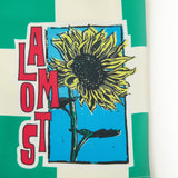 Hendrix Nylon Shorts - Green Hendrix Nylon Shorts - Green