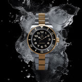 VO133SS - VOYAGER SILVER / GOLD SUB VO133SS - VOYAGER SILVER / GOLD SUB