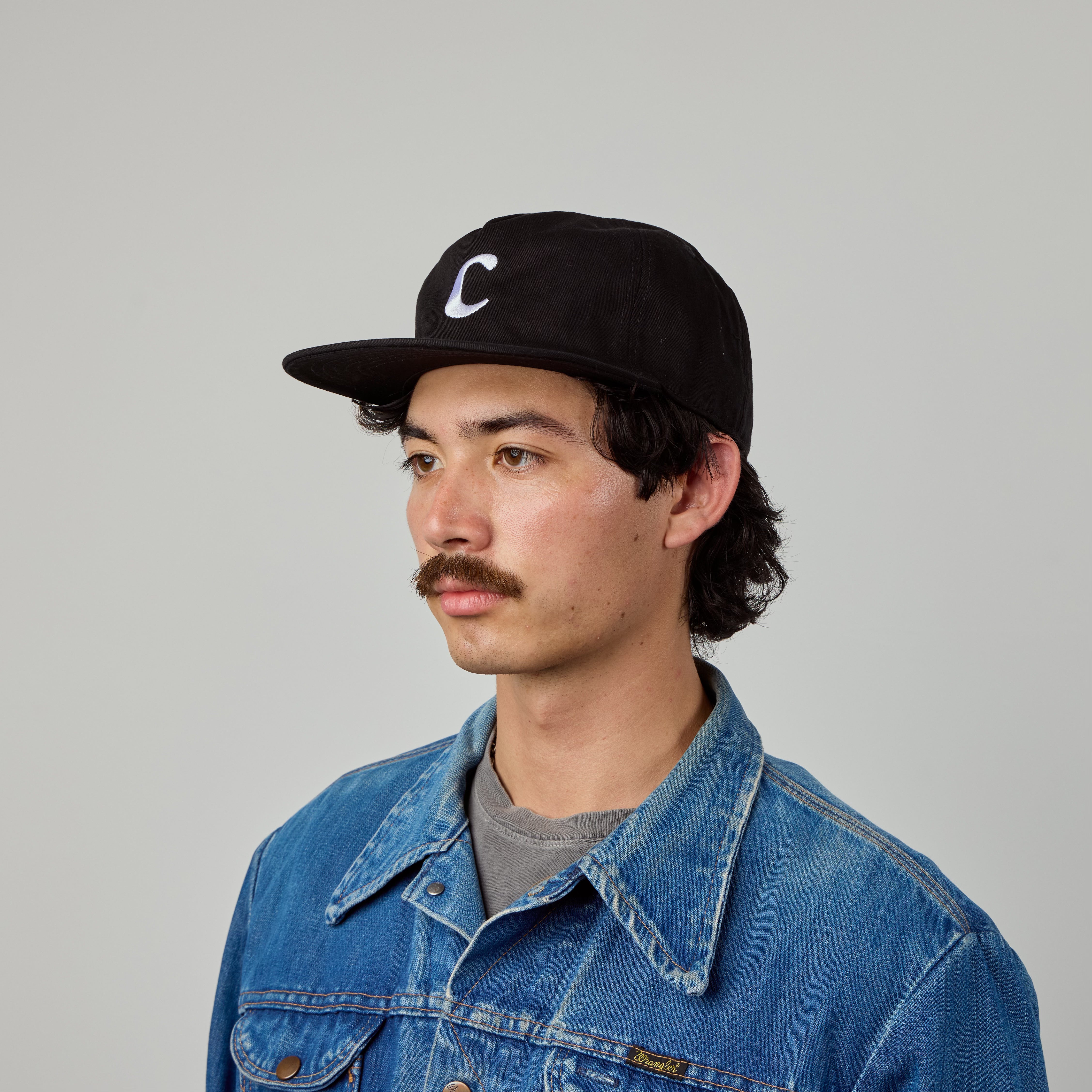 Pictor Vetus Hat Pictor Vetus Hat