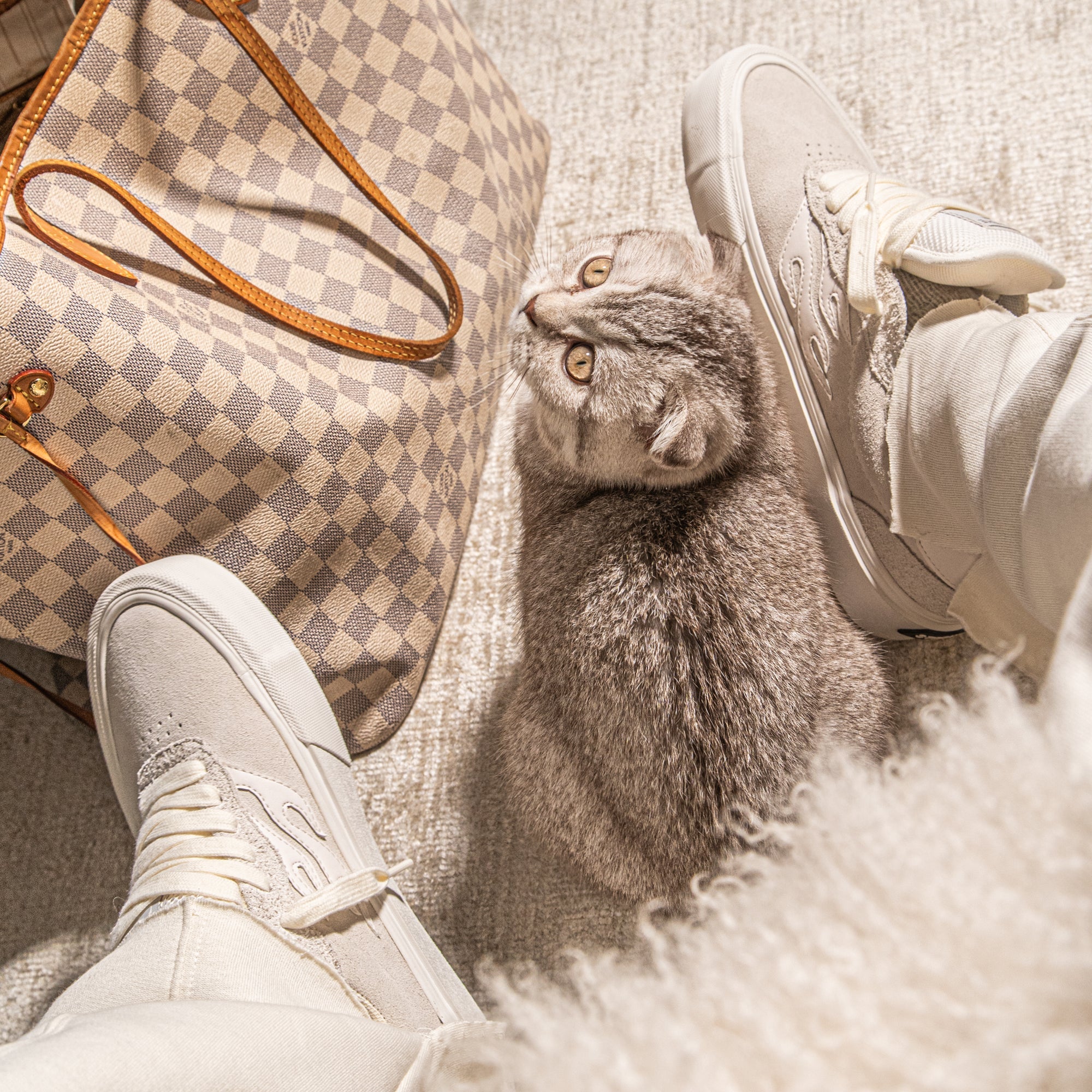 FUEGO - BLANCO FUEGO - BLANCO