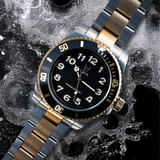 VO133SS - VOYAGER SILVER / GOLD SUB VO133SS - VOYAGER SILVER / GOLD SUB