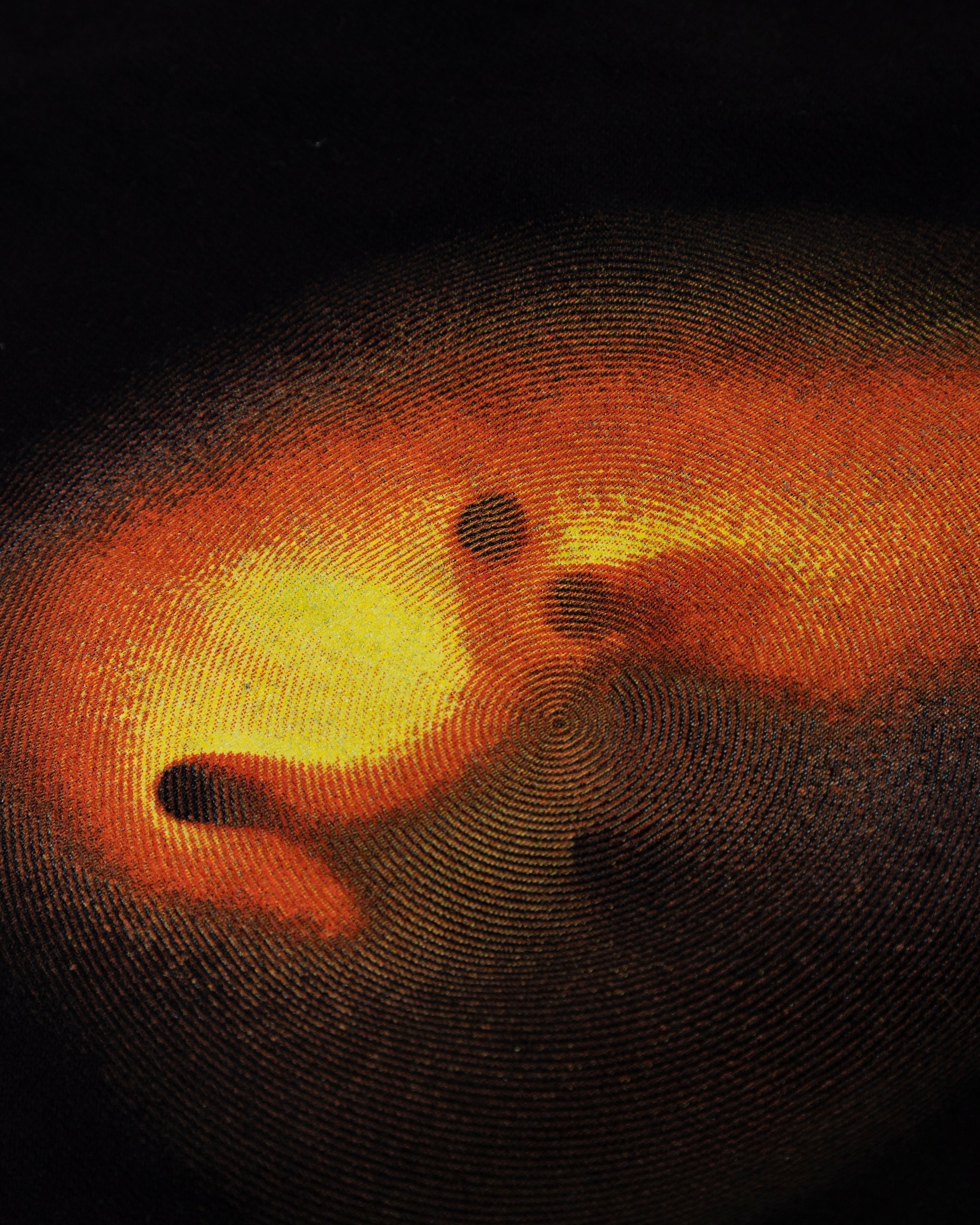 Echoes Pulse Biased Shorts Black Echoes Pulse Biased Shorts Black