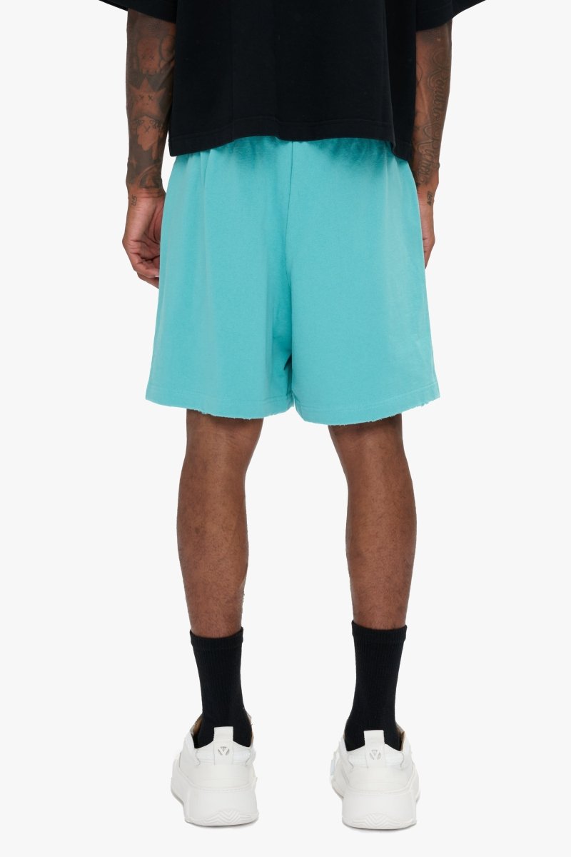 Essential Shorts Turquoise Essential Shorts Turquoise