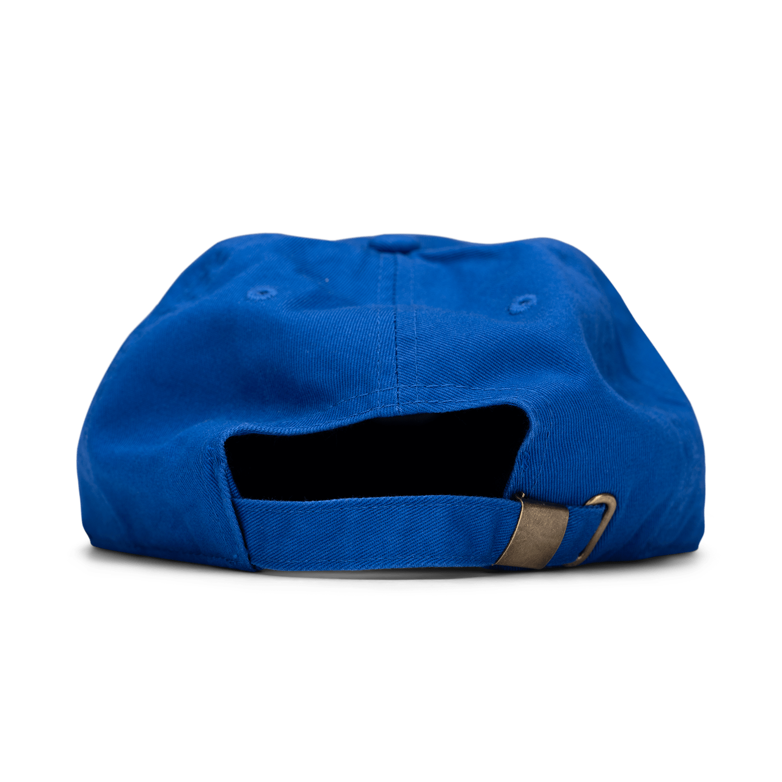 Pictor Vetus Hat Pictor Vetus Hat