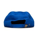 Pictor Vetus Hat Pictor Vetus Hat