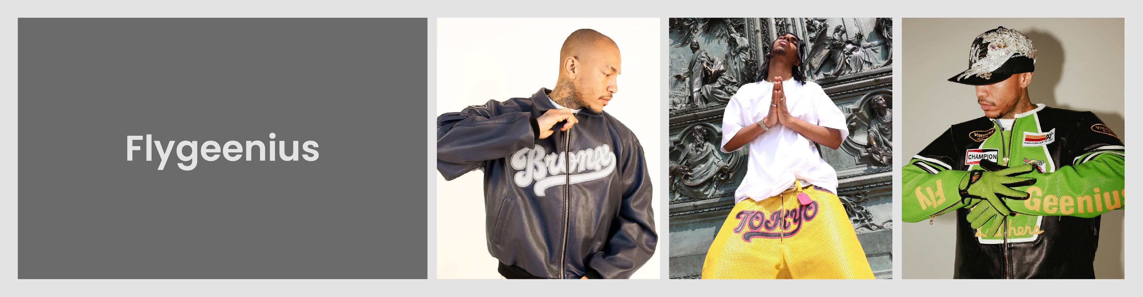 FLY GEENIUS