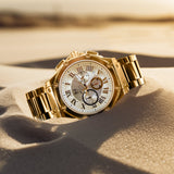 AM186SS - AMBASSADOR POLISH 18K PLATED / GOLD / SS BAND