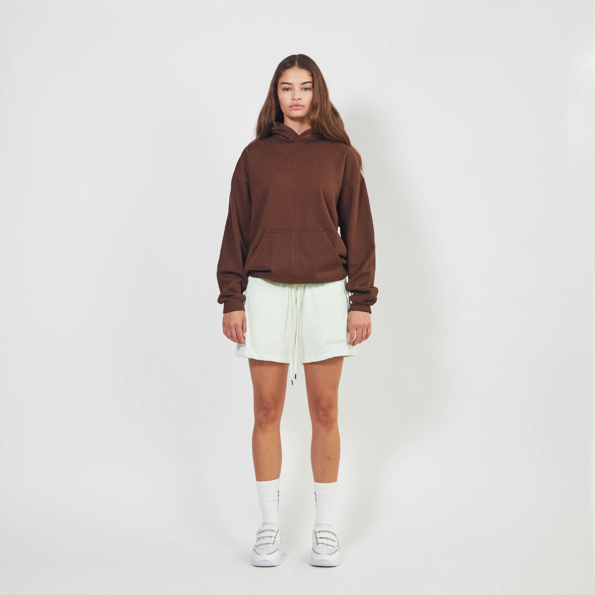 loop terry standard sweatshort / mint