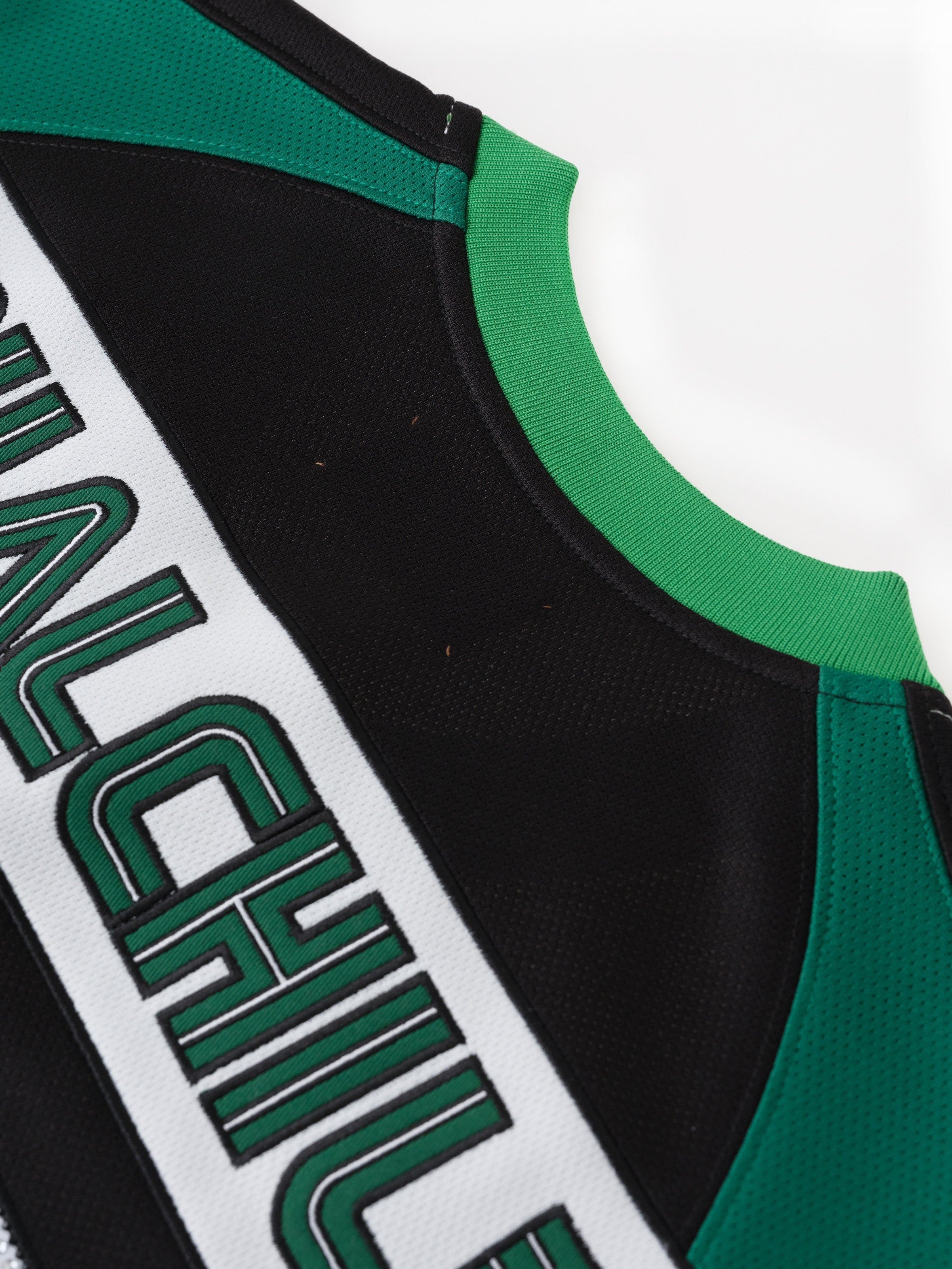 Double Lion Rhinestone Jersey in GREEN