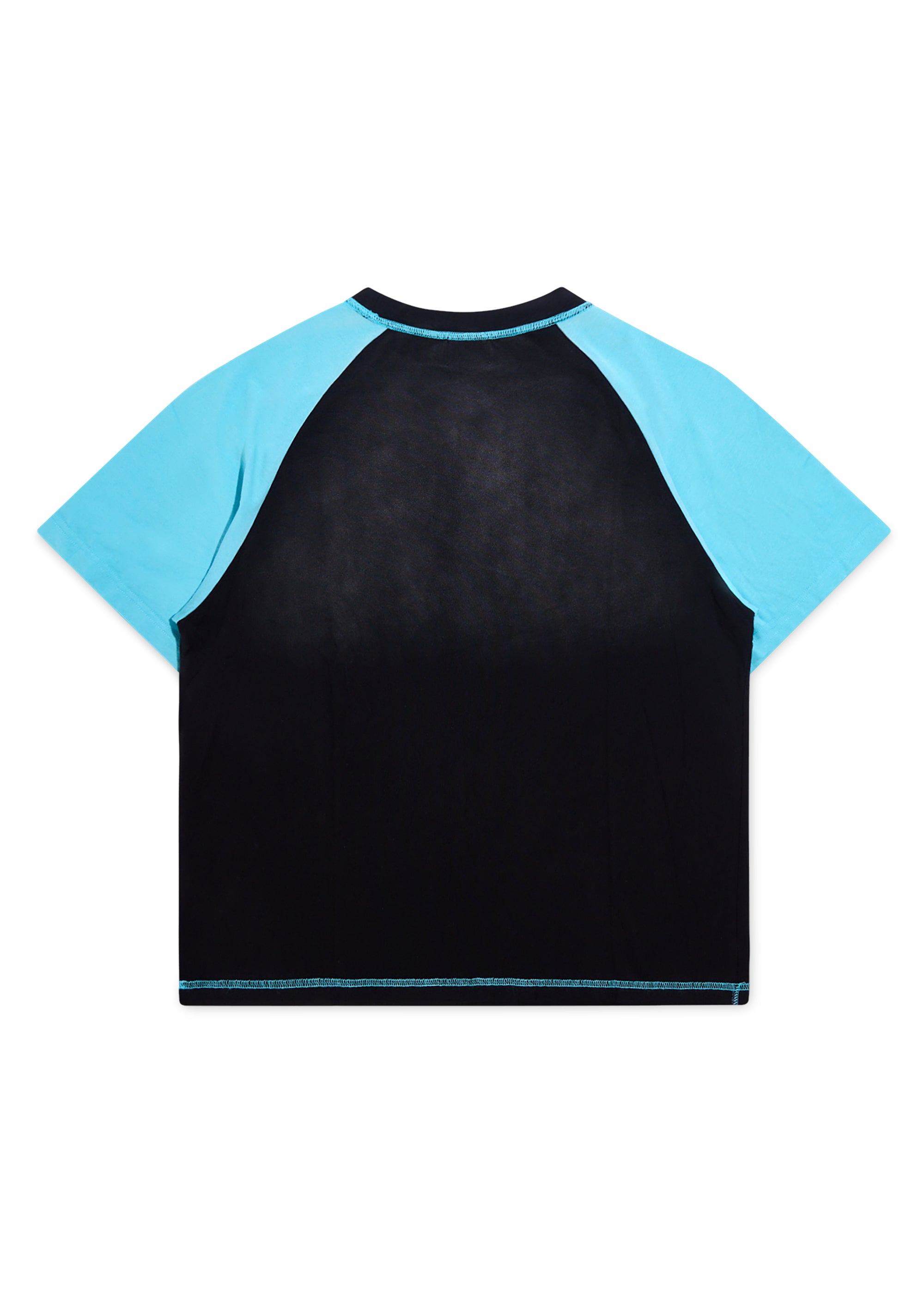 DSM Eagle Raglan Tee - Black/Blue