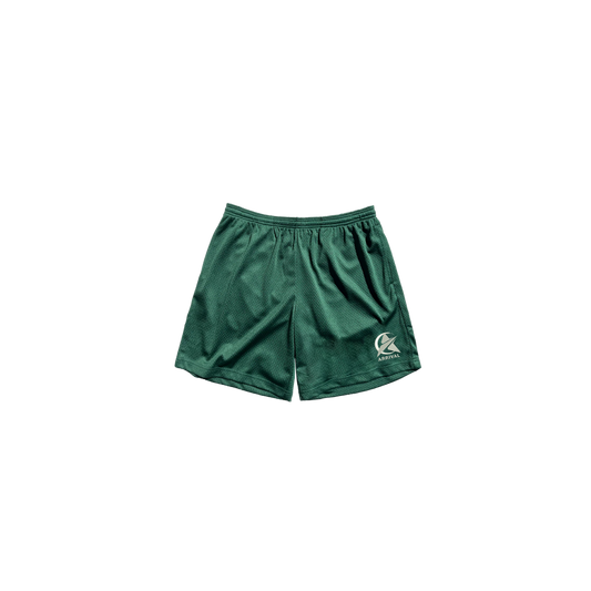 LOGO MESH SHORTS (GREEN)
