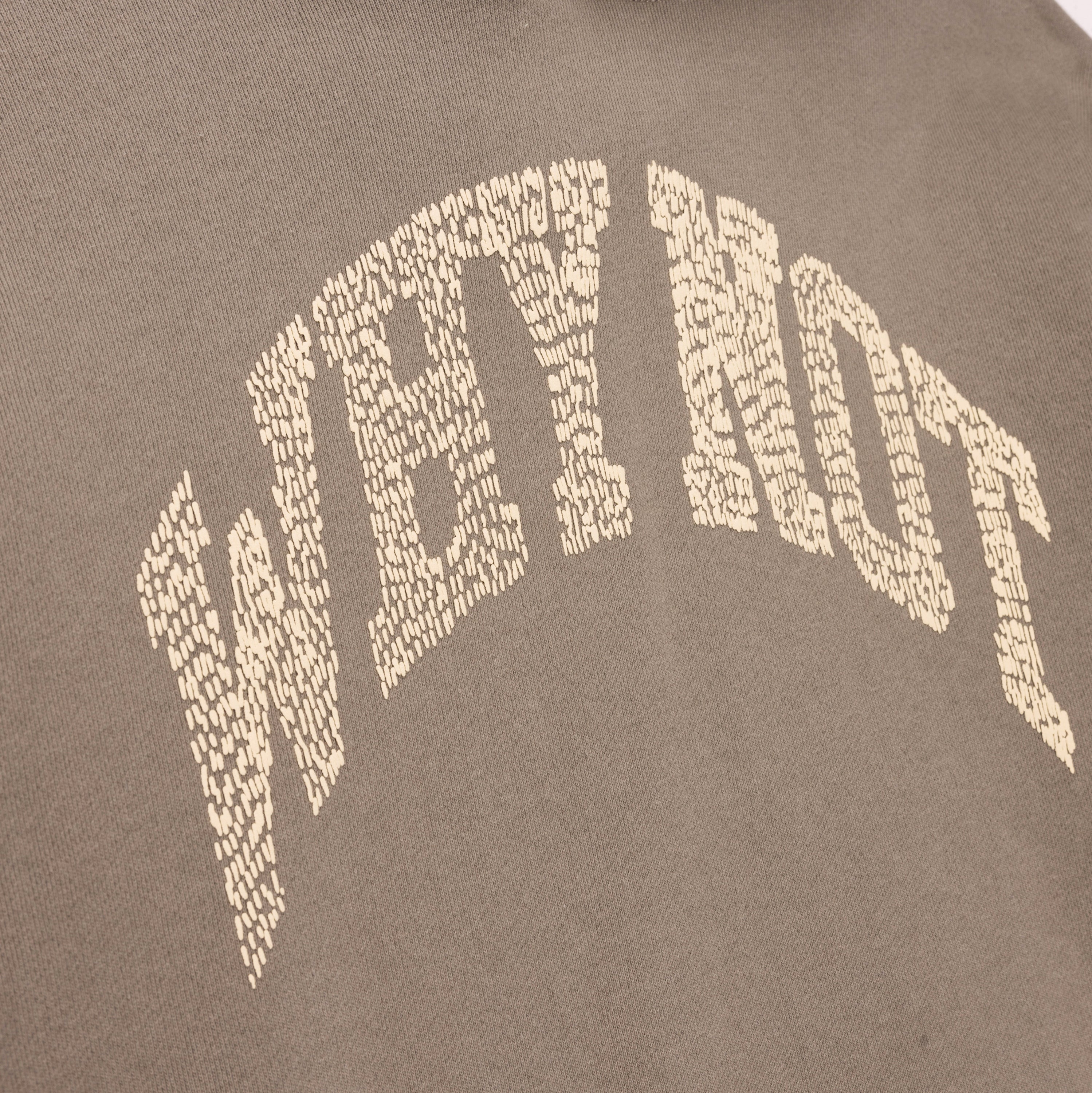 Why Not Hoodie - Taupe