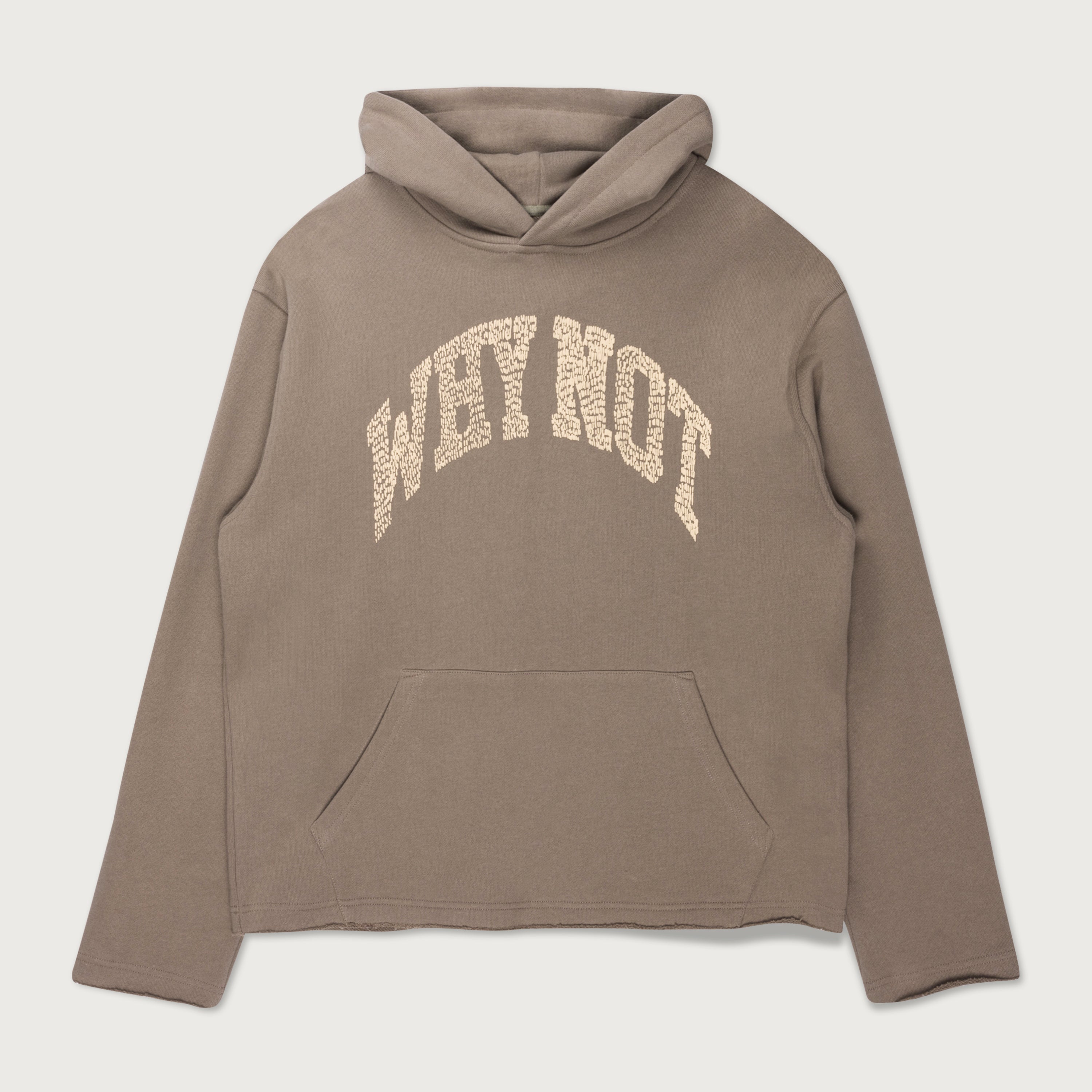 Why Not Hoodie - Taupe