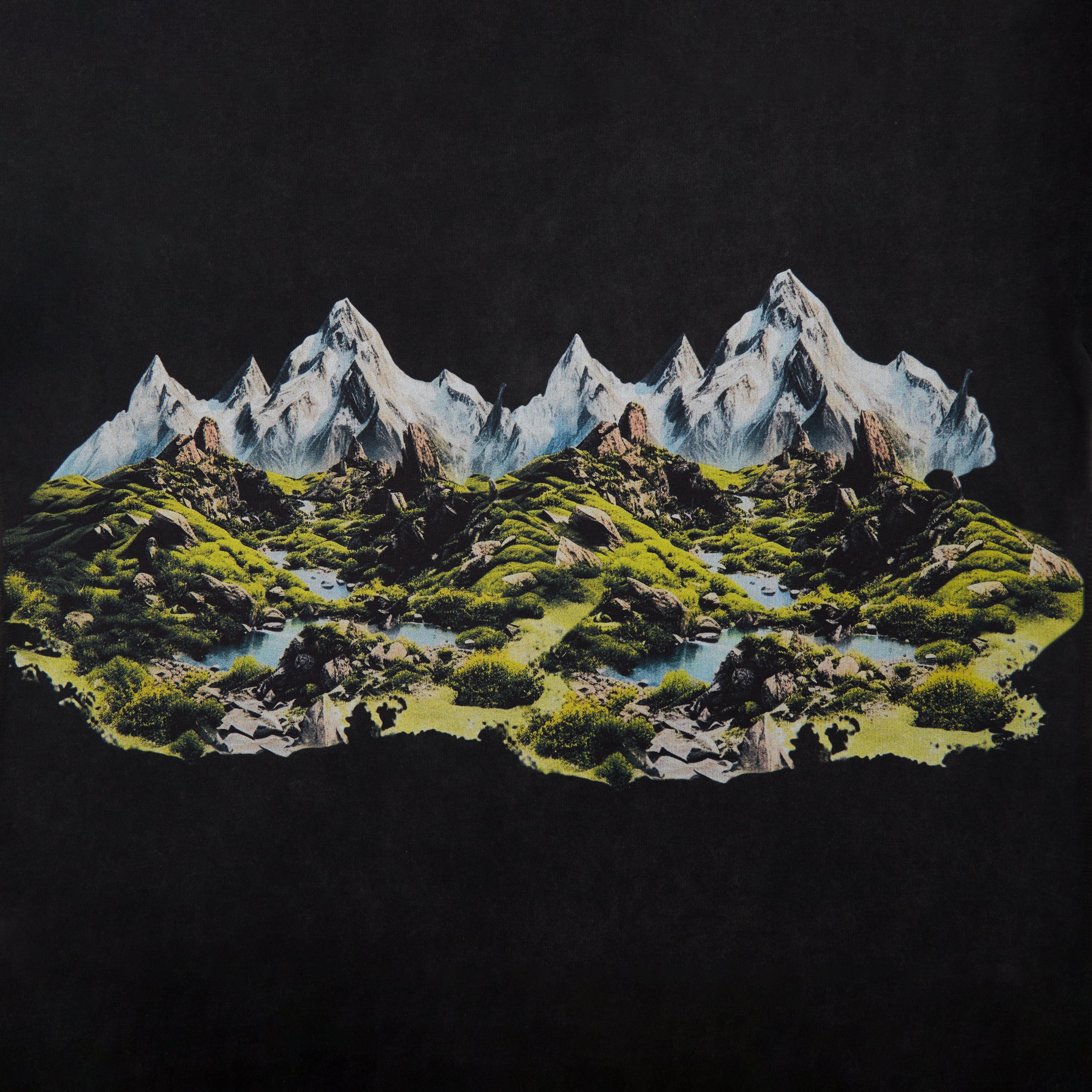 Dallas Mavericks Tee (Vintage Black)