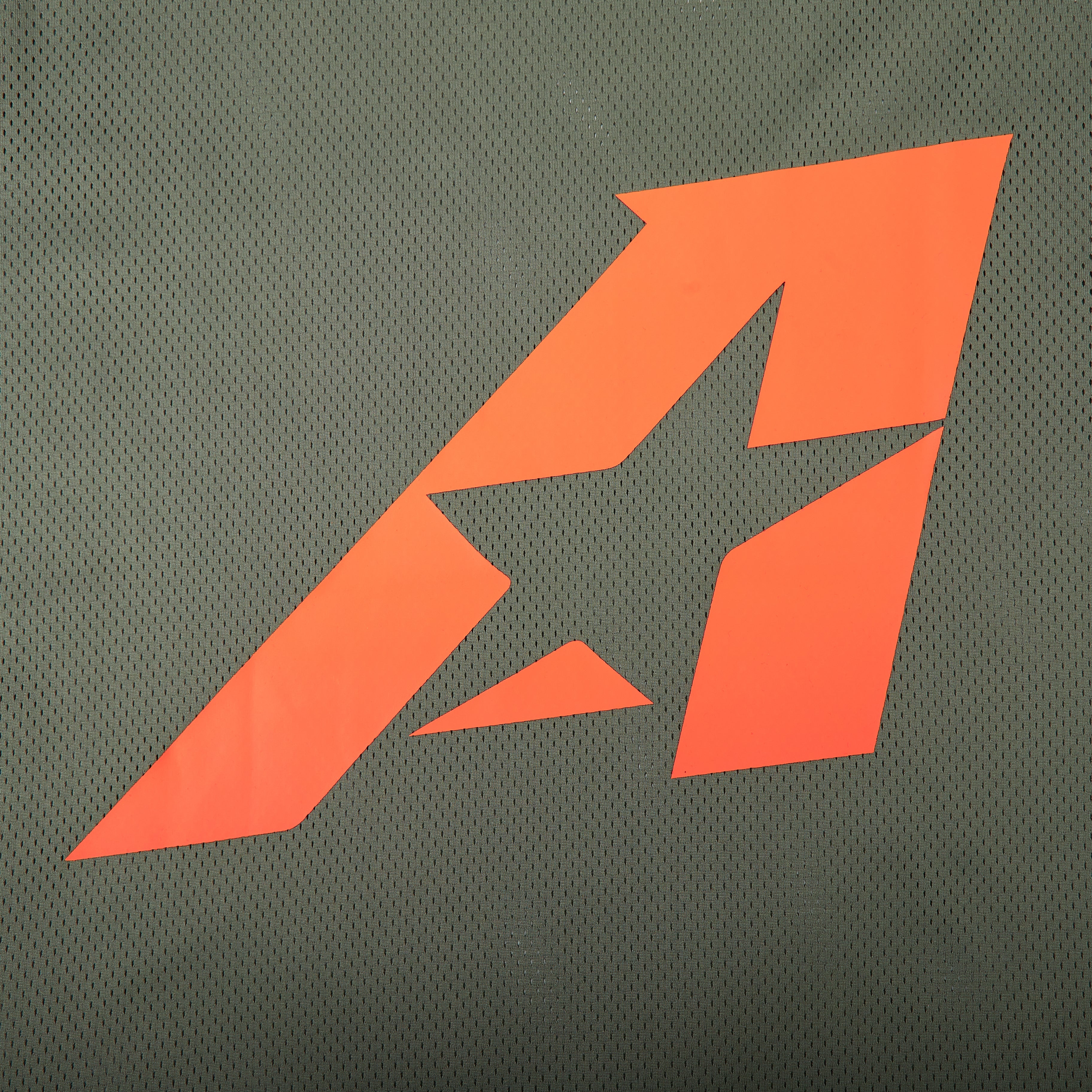 Hall of Fame Mesh Jersey (Green)