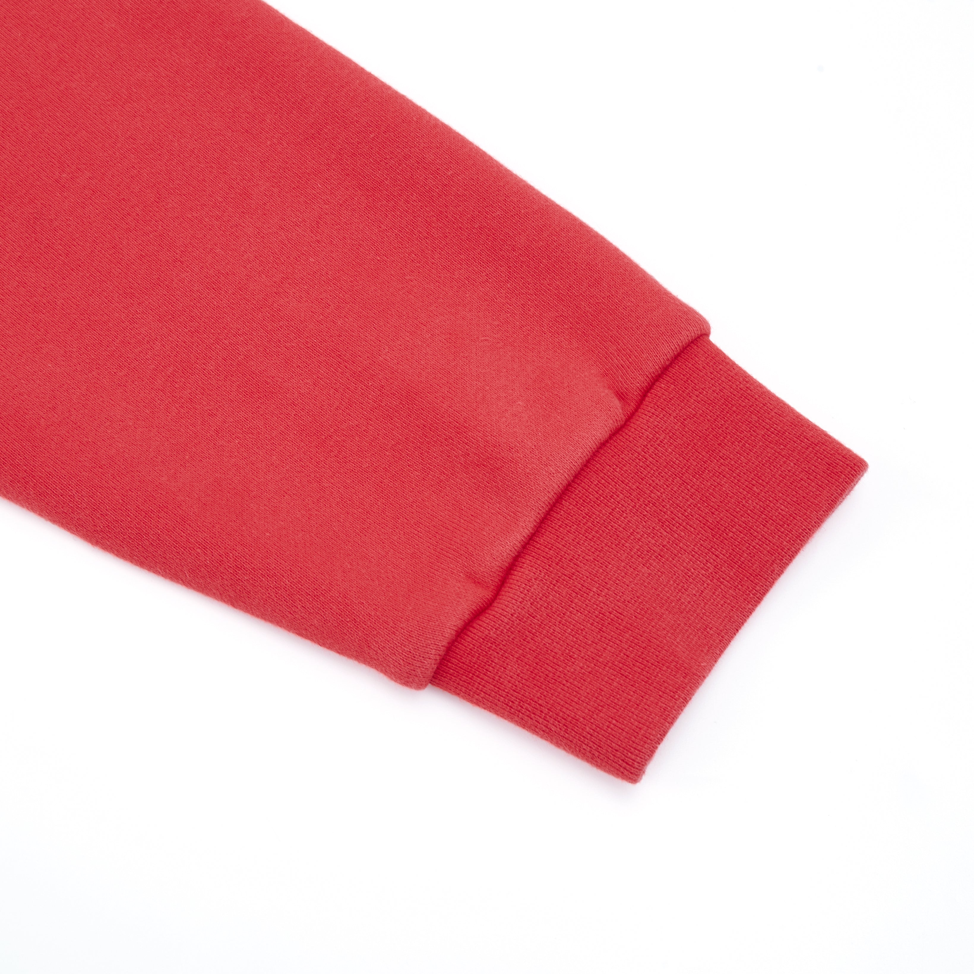 Runway ZipUp Hoodie Sun Fade Wash (Red)