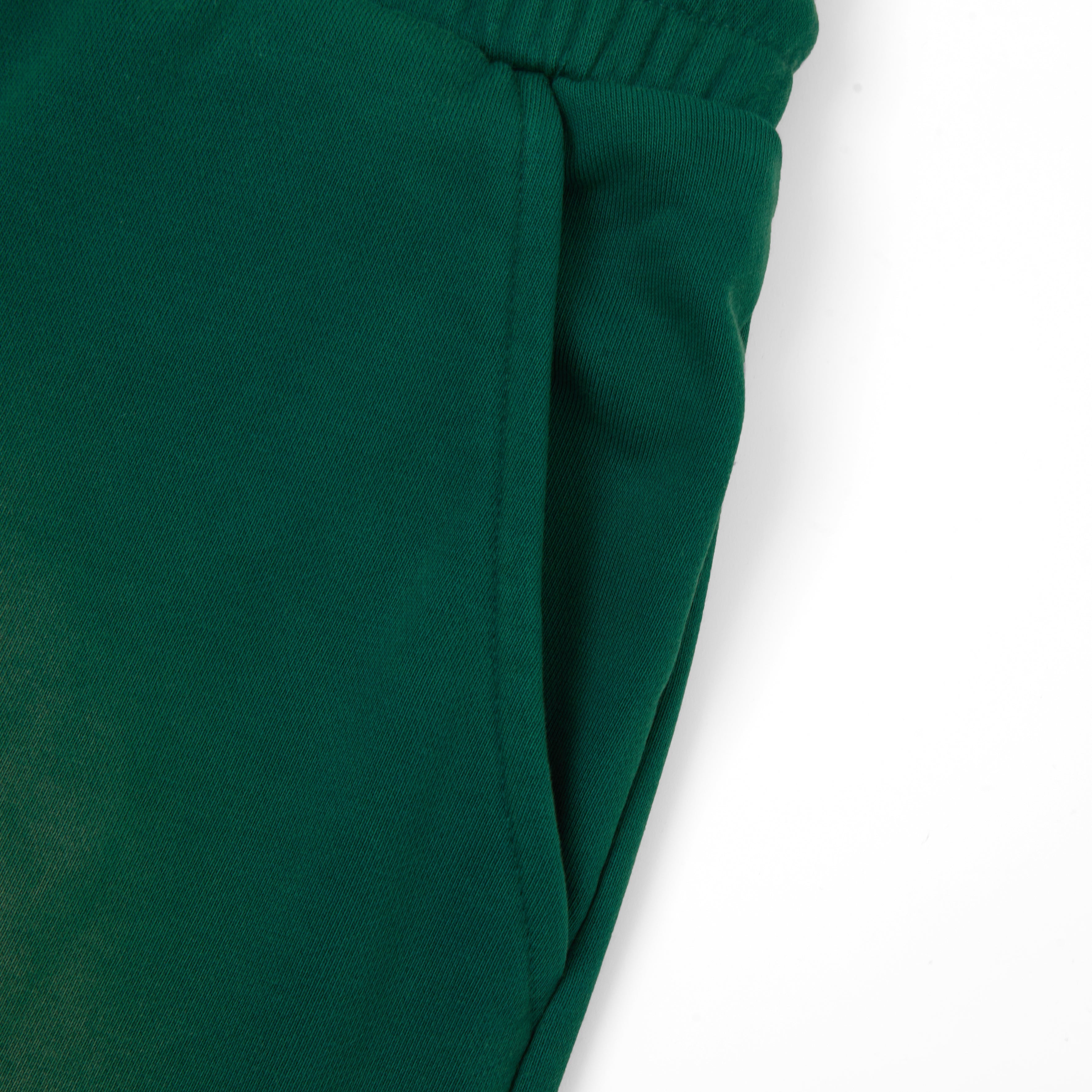 Signature Sun Fade Terry Short (Green)