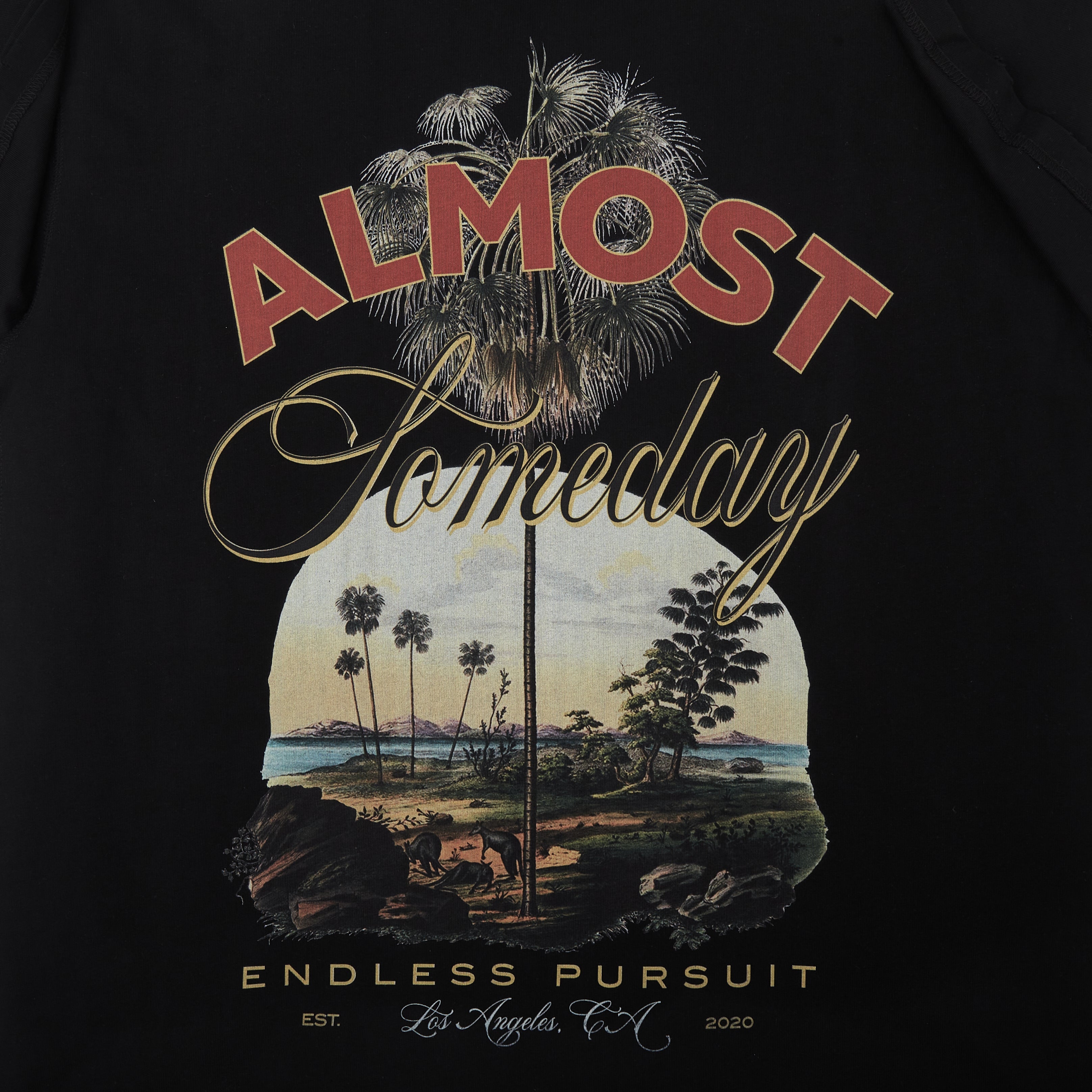 Daydream Tee (Washed Black)