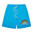 Paris Nylon Shorts (Blue)