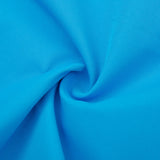 Paris Nylon Shorts (Blue)