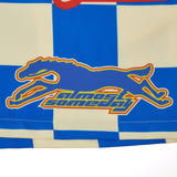 Hendrix Nylon Shorts - Blue