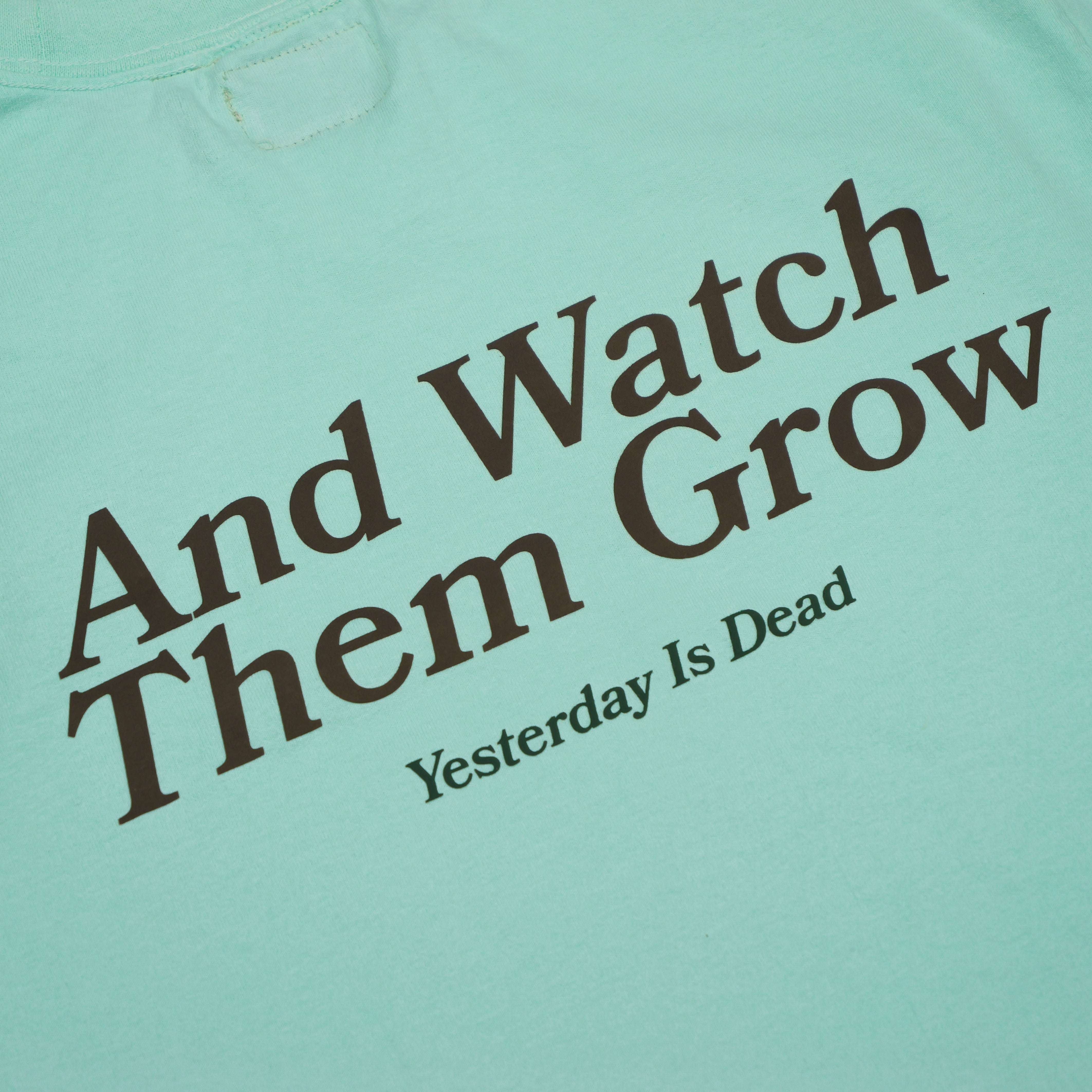 SEEDS TEE MINT