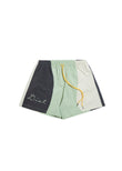 Panel Bay Short - Sage Multi