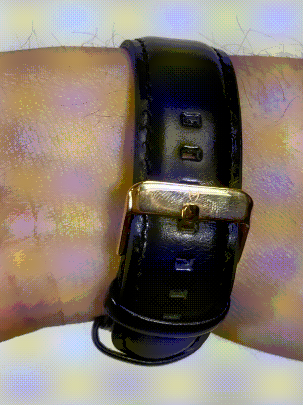 VO101LS - VOYAGER GOLD / BLACK / LEATHER BAND