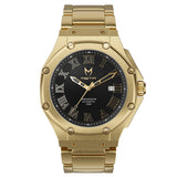 AM315SS - AUTOMATIC GOLD / STEEL BAND