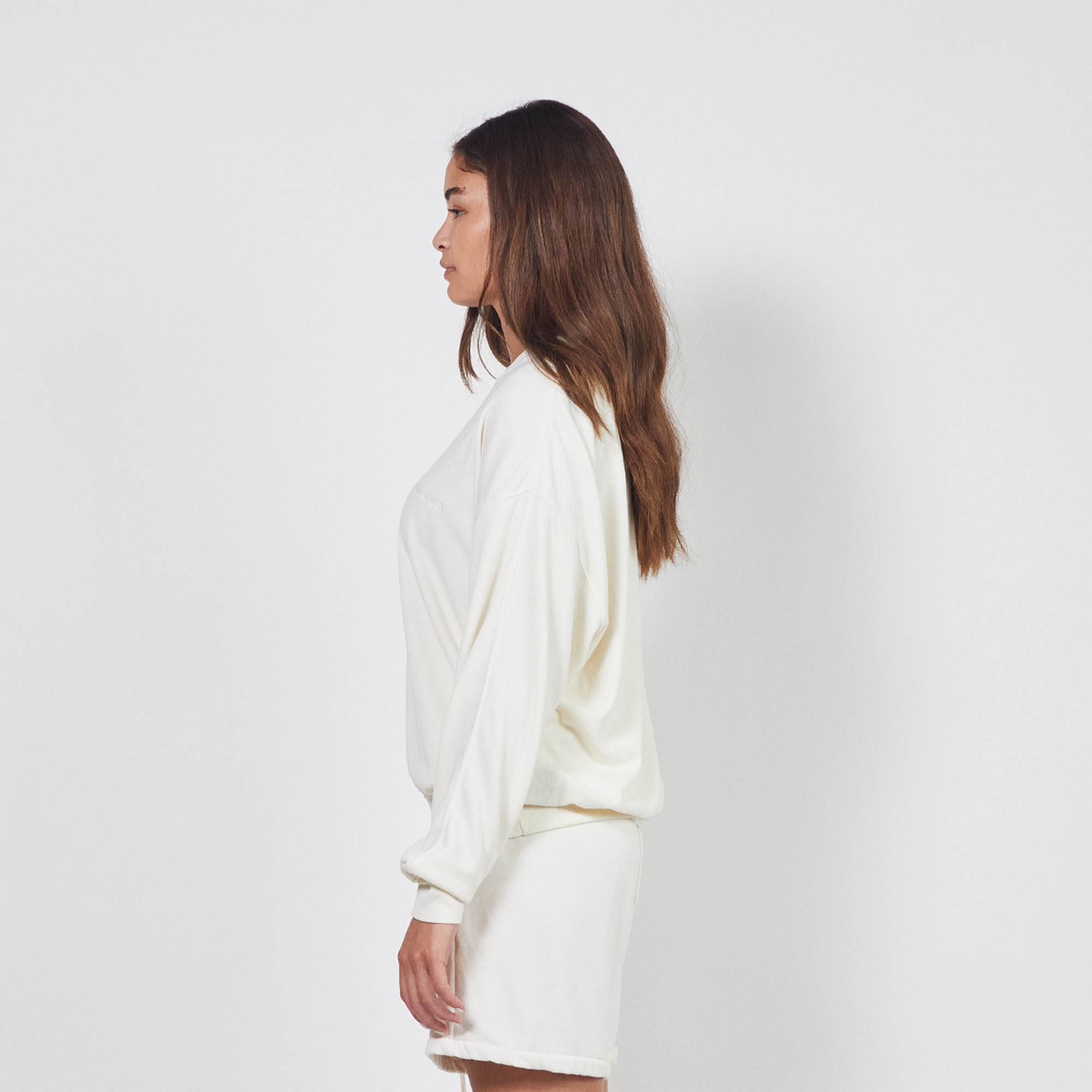 loop terry standard sweatshirt / natural terry