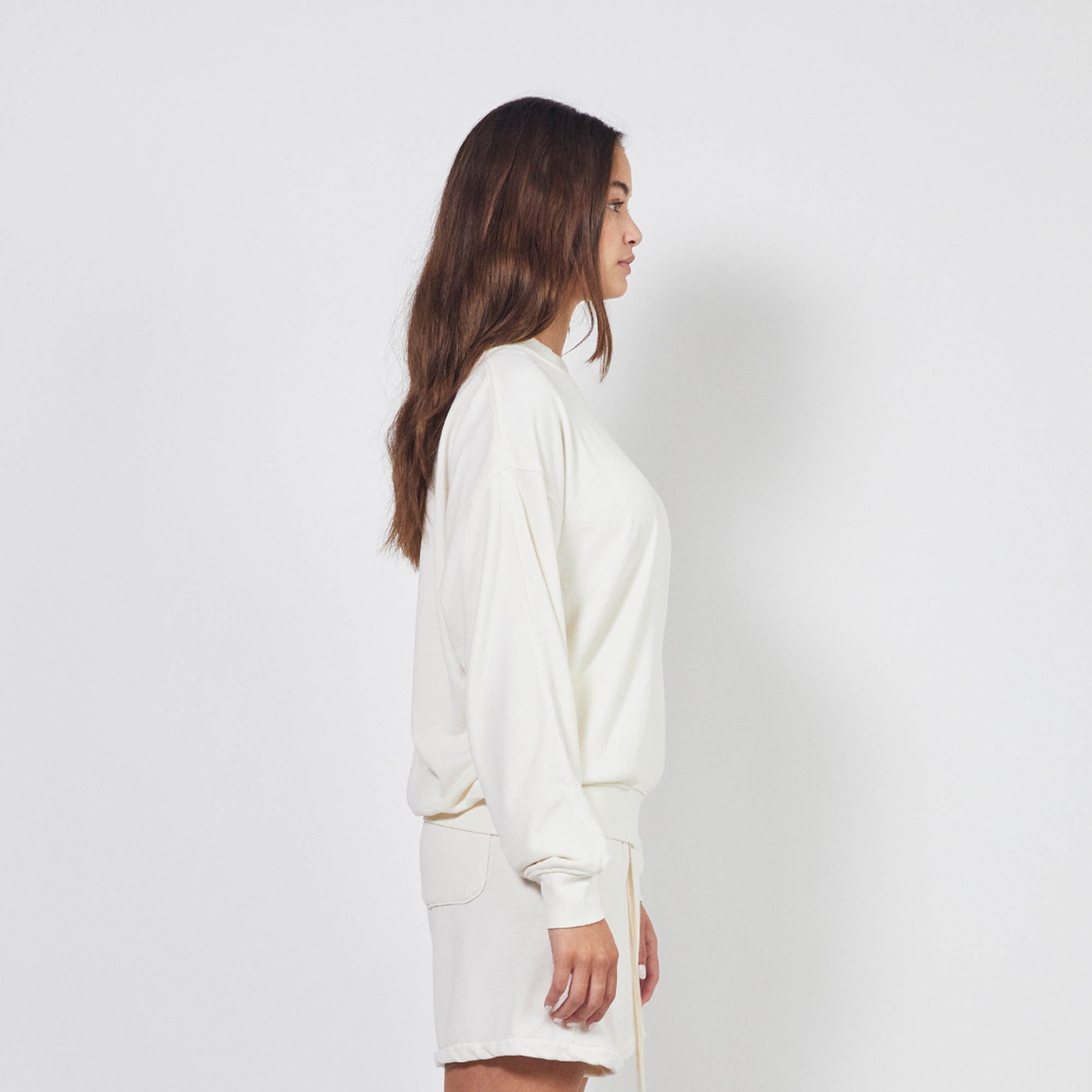 loop terry standard sweatshirt / natural terry