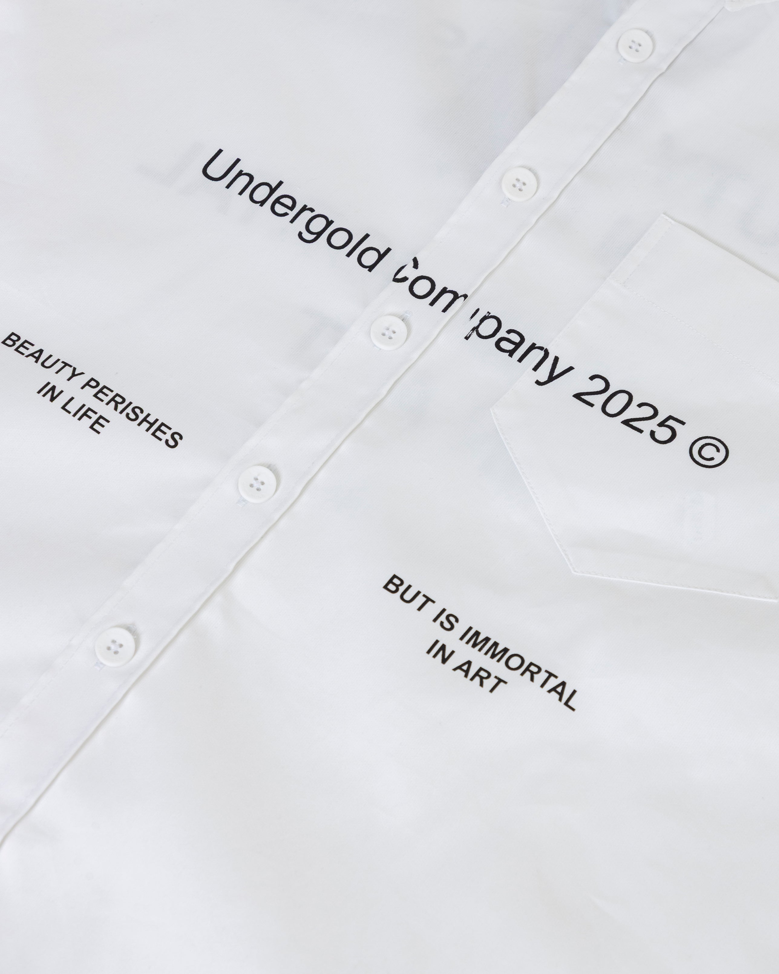 Echoes Beauty Long Sleeve Boxy Fit Shirt Bone