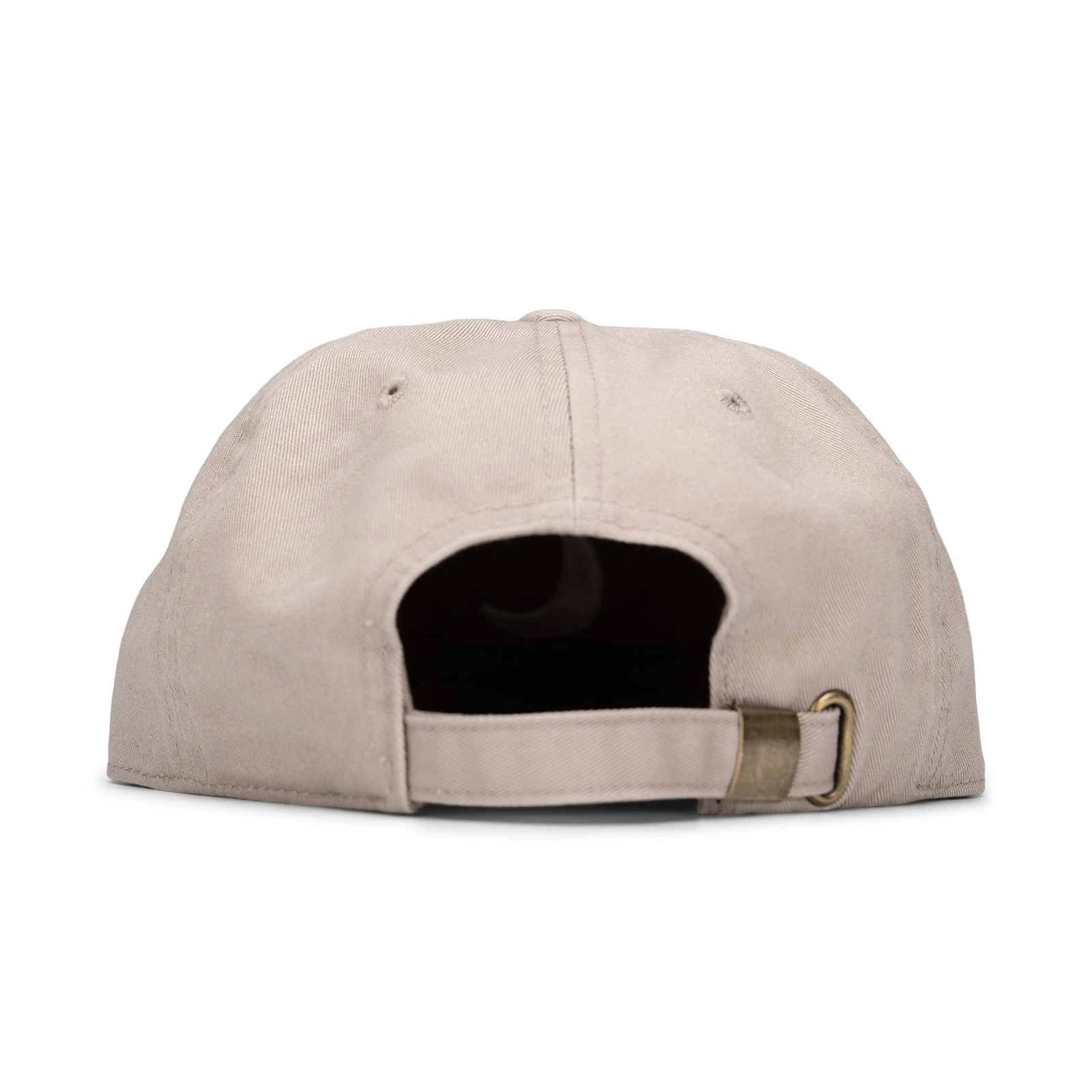 Pictor Vetus Hat